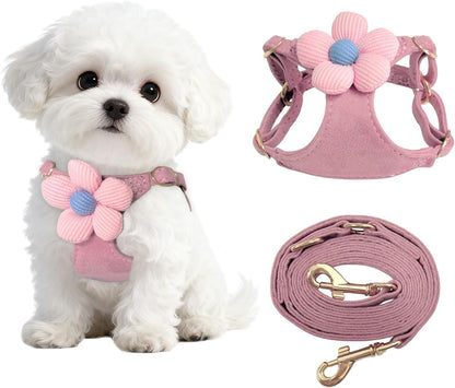 Guiding Star No Pull Dog Harness and Leash Set in Pink, front view