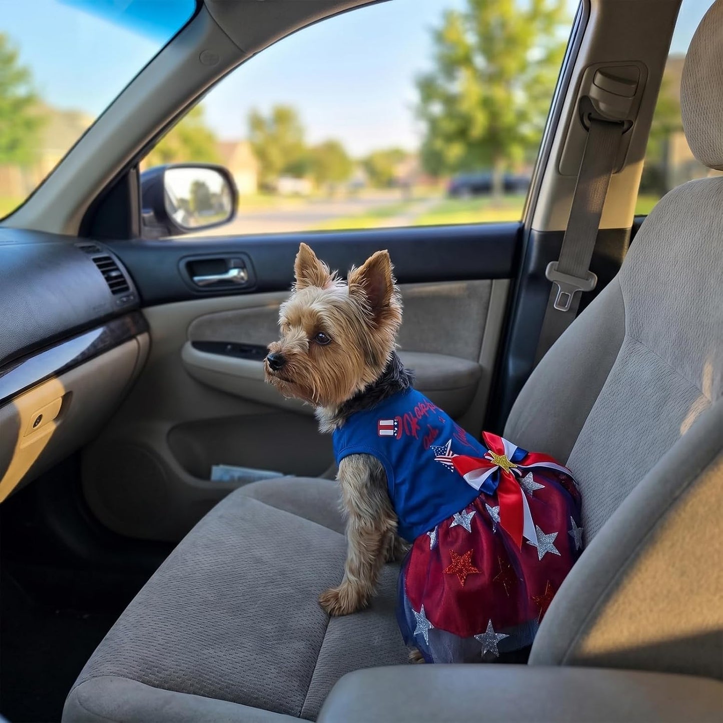 Habbiful patriotic pet dress displaying the detailed layered tulle skirt with sparkling stars