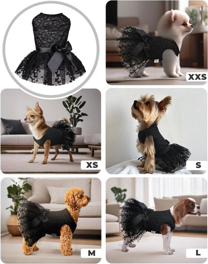 CuteBone dog dress medium size on a small toy breed puppy