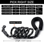 Two pack five feet black nylon dog leashes for training