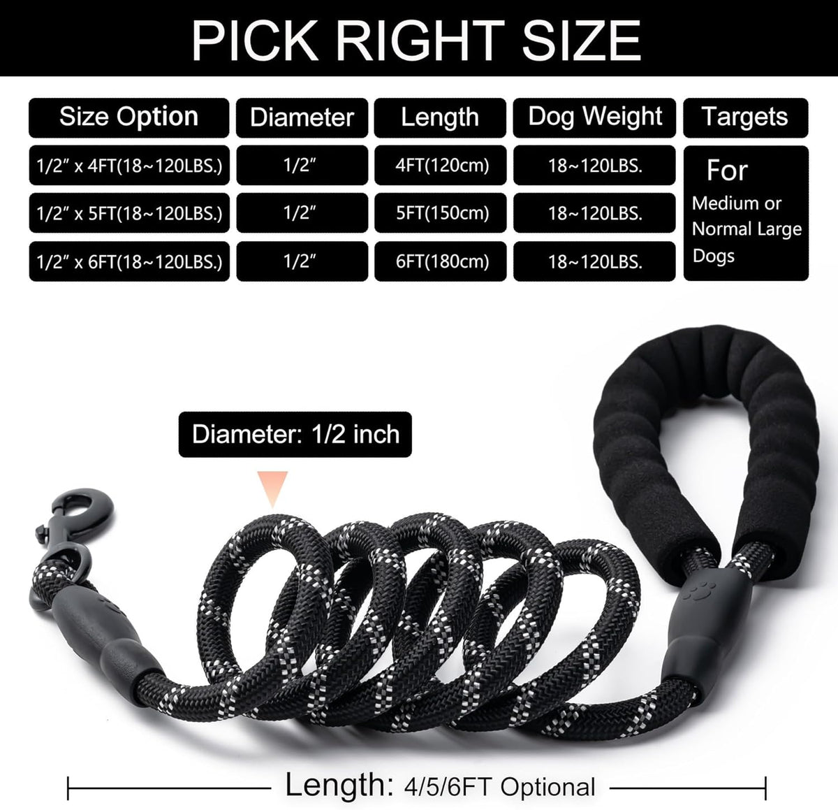 Two pack five feet black nylon dog leashes for training