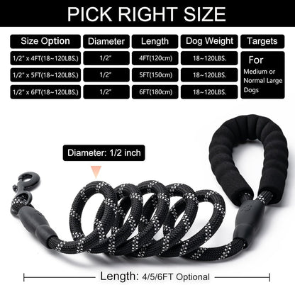 Two pack five feet black nylon dog leashes for training