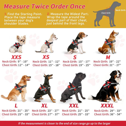 Opstin service dog accessory set including vest, patches, tag, and cards laid out flat.