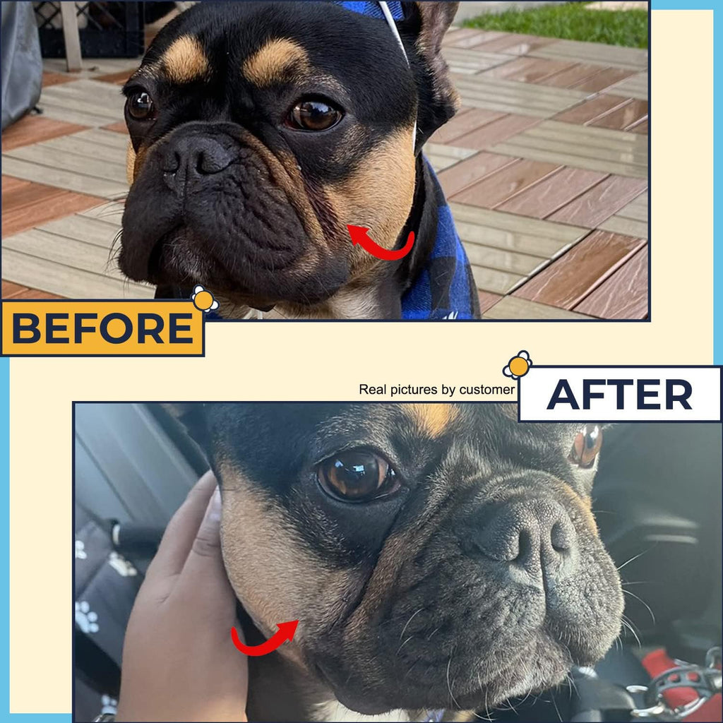Pre soaked dog wrinkle pads cleaning dirt from sensitive skin folds
