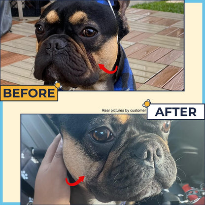 Pre soaked dog wrinkle pads cleaning dirt from sensitive skin folds