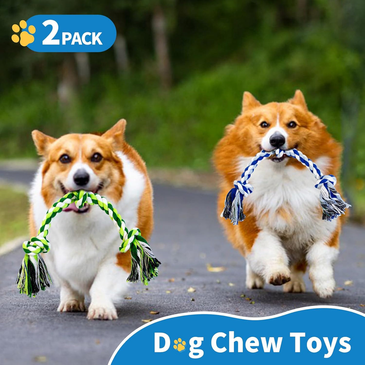 WDZZHOT premium pet supplies cotton tug of war ropes designed to withstand rough indoor play.