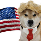Funny pet wig for social media photoshoot