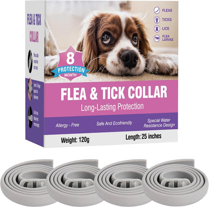 Yfcact flea collar for dogs 4 pack front view