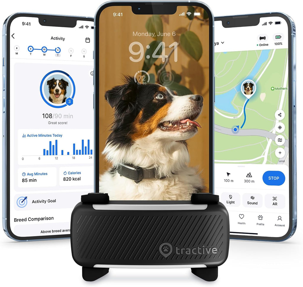 Tractive Smart Dog GPS Tracker black front view
