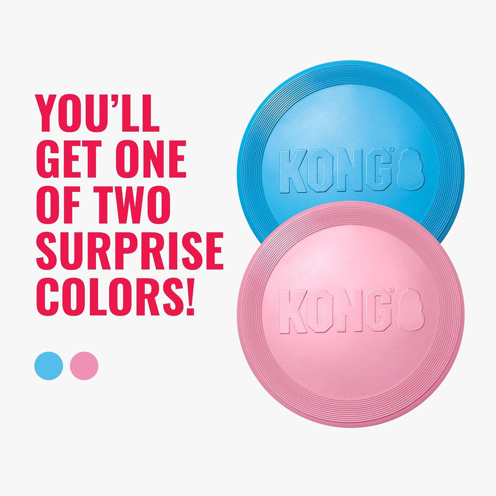 Small puppy playing with KONG soft rubber flyer