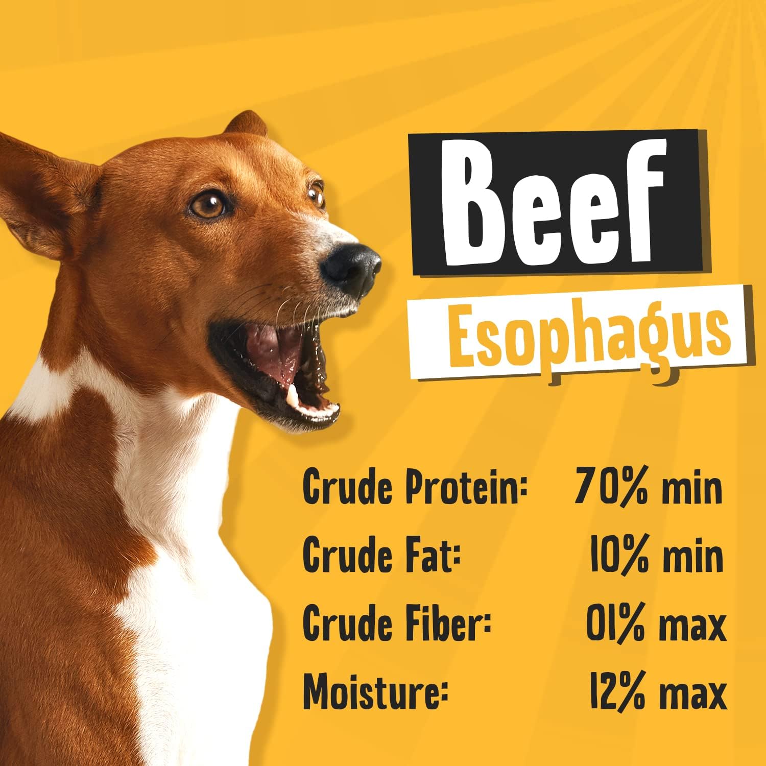 Back label of Raw Dog Natural Chews showing guaranteed analysis and single ingredient
