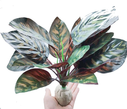 Close up of realistic artificial Calathea leaves in terrarium