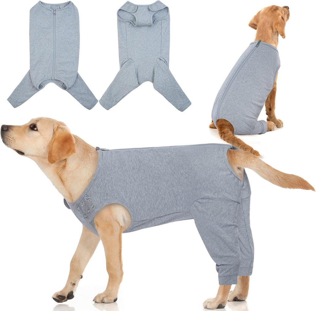 IDOMIK dog surgery recovery suit front view on a large breed dog