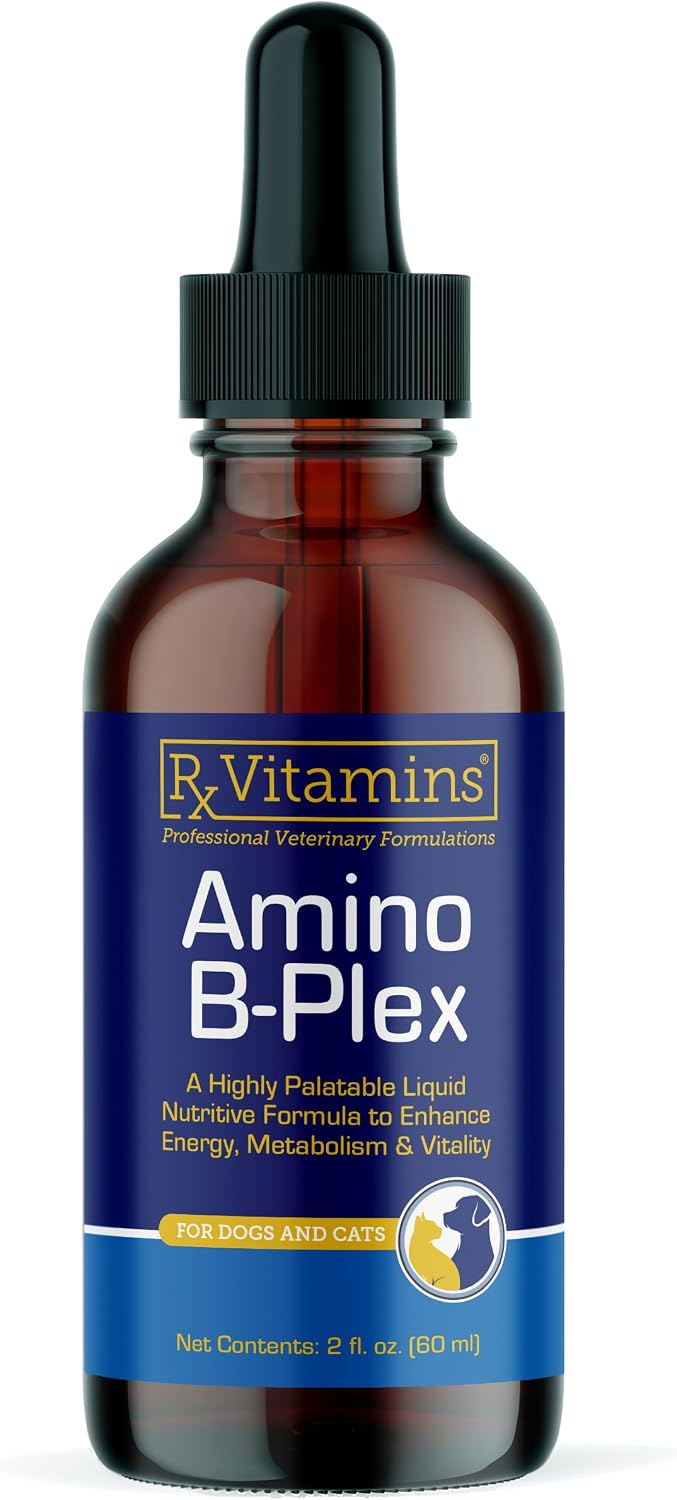 Rx Vitamins Amino B-Plex Cat & Dog Supplement - Vitamin B Complex Liquid Plus Amino Acids for Dogs & Cats - Appetite Booster and Cat & Dog Weight Gainer - Supplements & Vitamins - 8 oz - Image 9