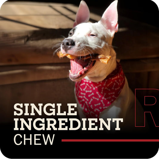 All natural single ingredient beef chews for aggressive chewers