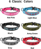 Indink heavy duty adjustable pet ID collar on a dog