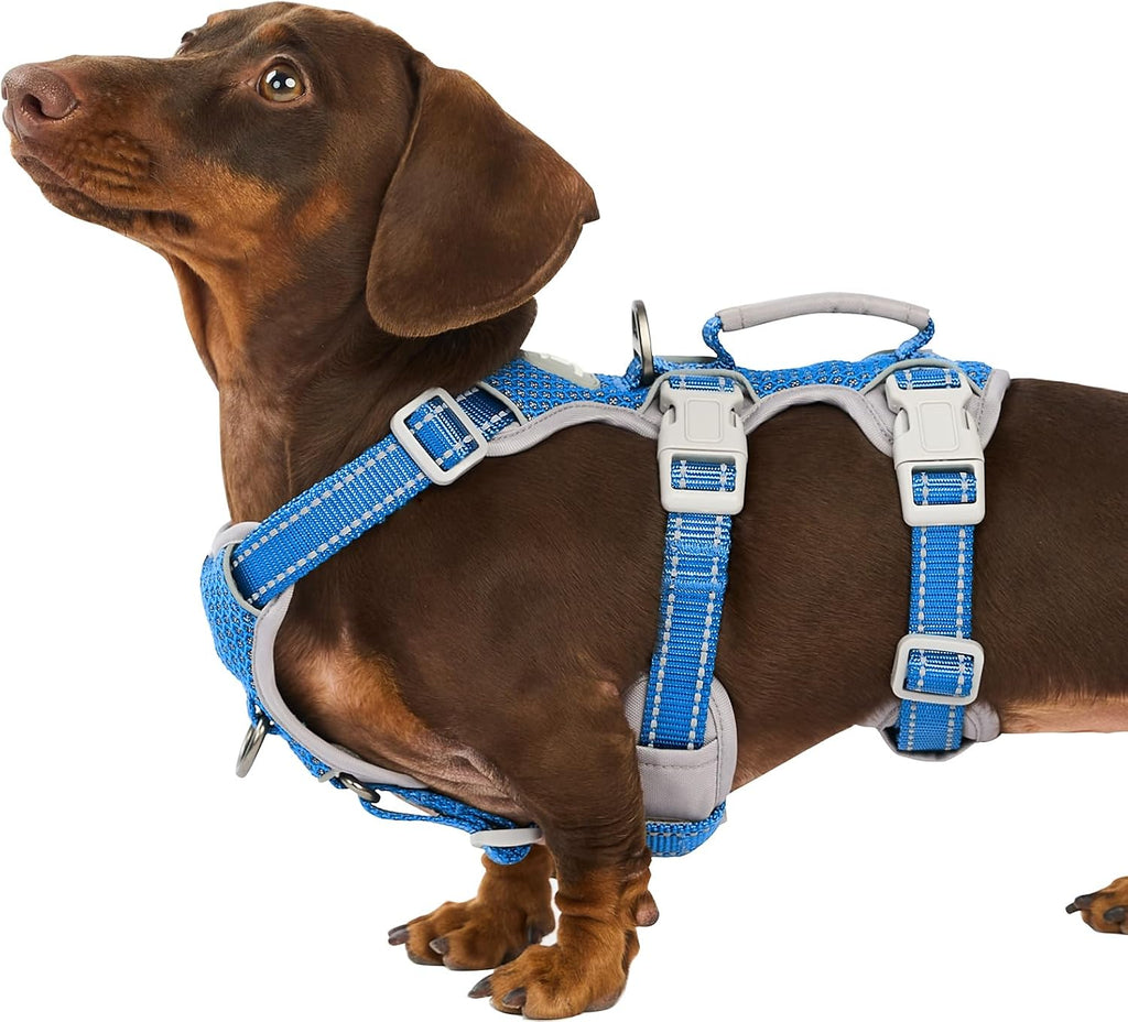Huntboo Escape Proof Harness, No Slip Dog Harness Escape Proof, Fully Reflective Harness with Handle, Breathable, Durable, Adjustable Vest for Medium Dogs Walking and Training Gear (Black, M) - Image 10