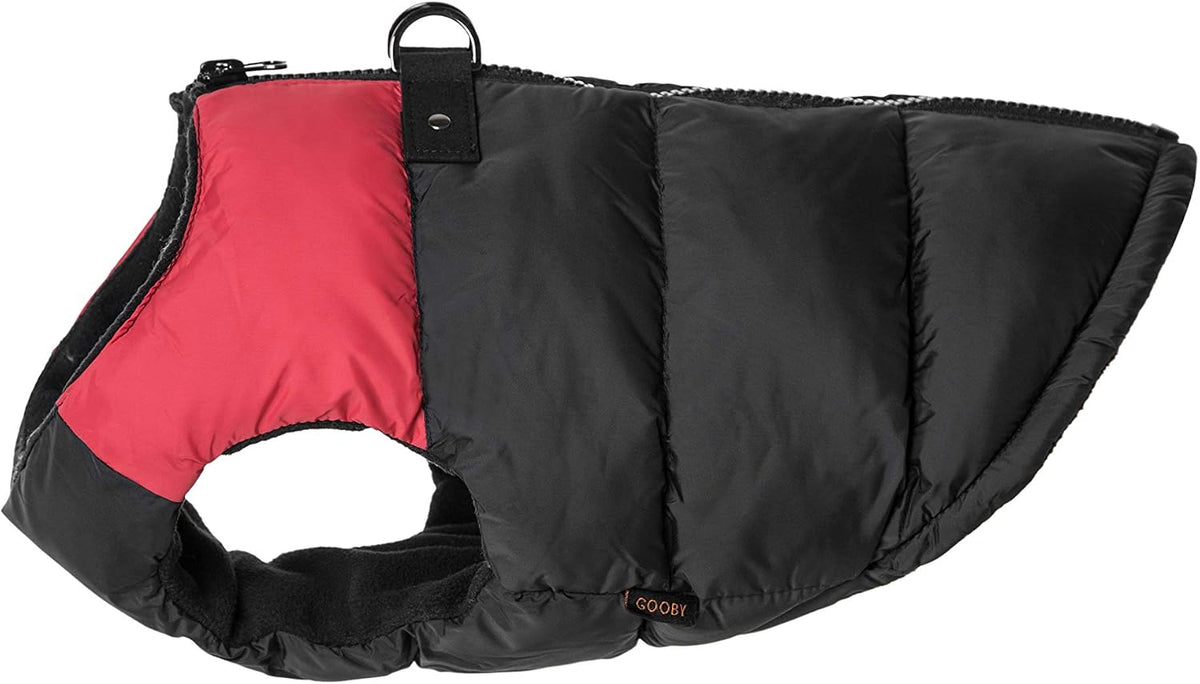Dog wearing Gooby padded vest outdoors