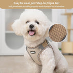 Aiitle lightweight escape proof dog harness with matching leash set