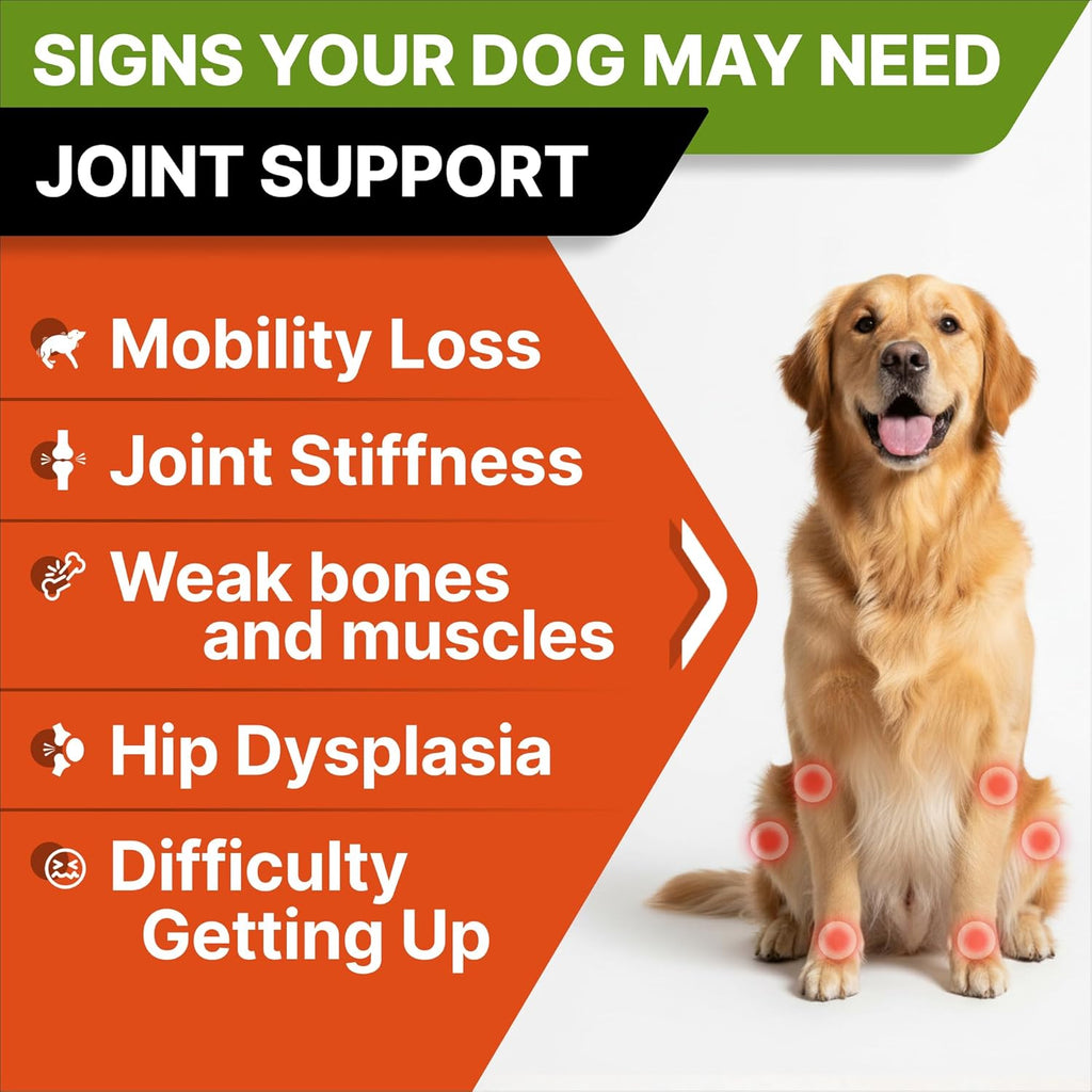 Imported USA dog joint care soft chews with omega three fish oil