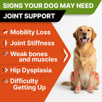 Imported USA dog joint care soft chews with omega three fish oil