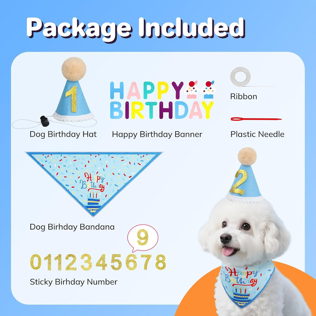 Dog wearing blue birthday hat and bandana from Supet kit