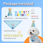 Dog wearing blue birthday hat and bandana from Supet kit