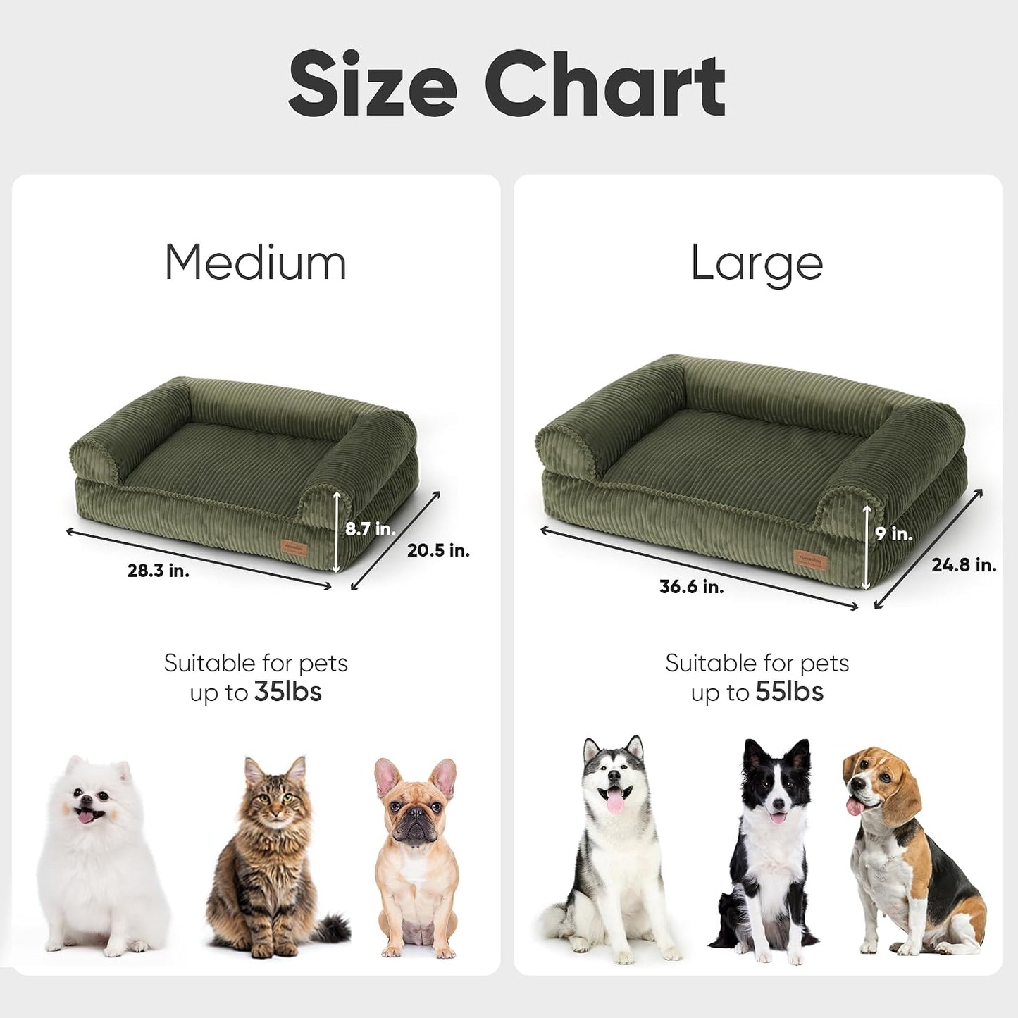 FUKUMARU green corduroy pet couch styled in a modern home living room