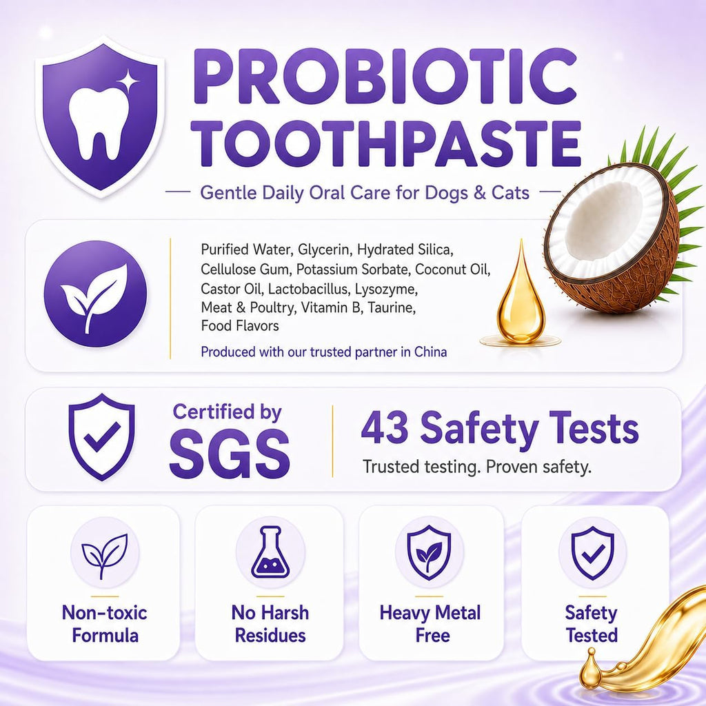 VVHOMIFE toothpaste for cats and dogs on a white background