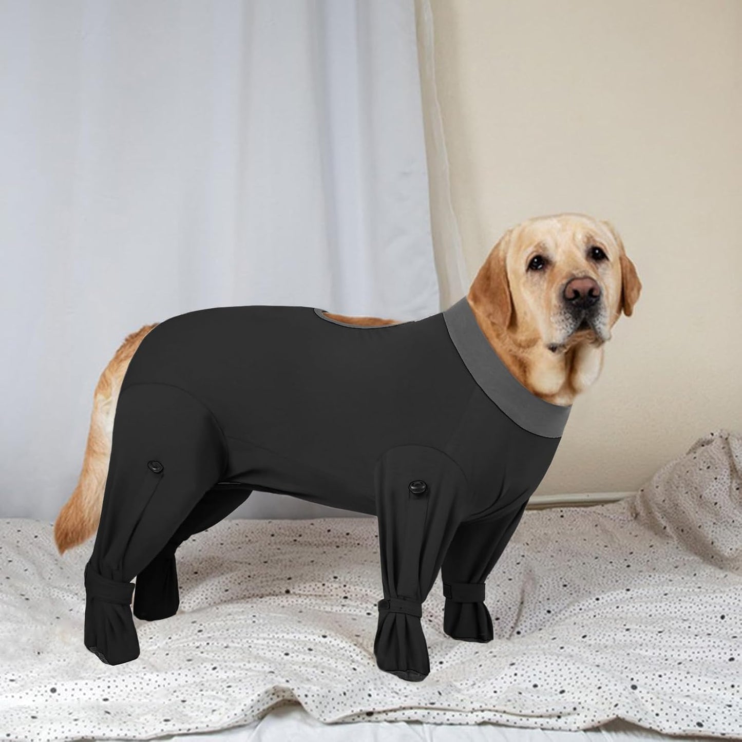 Rozkitch premium imported pet medical wound protector packaging view