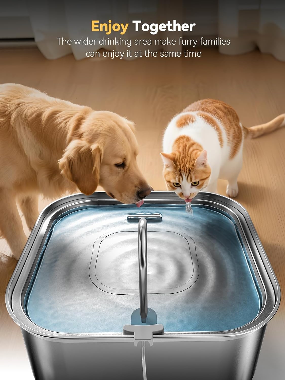 Multi-pet household using large stainless steel water fountain