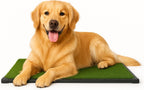 Clean artificial grass puppy pad for indoor use