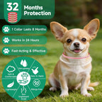 Adjustable flea collar for dogs 65 centimeter size