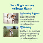 Veterinarian formulated liquid pet supplement with dropper for easy administration