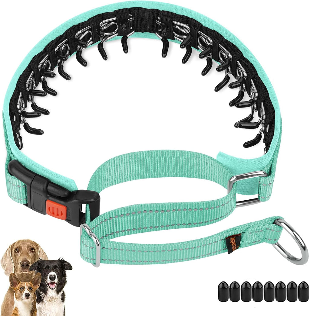 Mayerzon discreet pinch dog collar showing internal stainless steel links