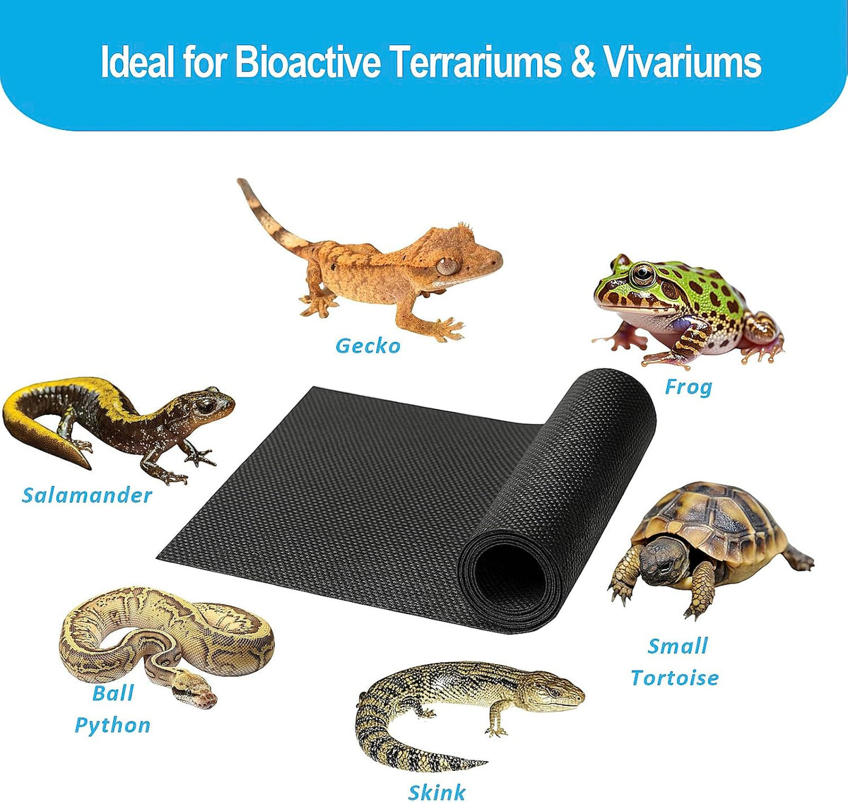 Duedusto two piece reptile terrarium supplies complete set