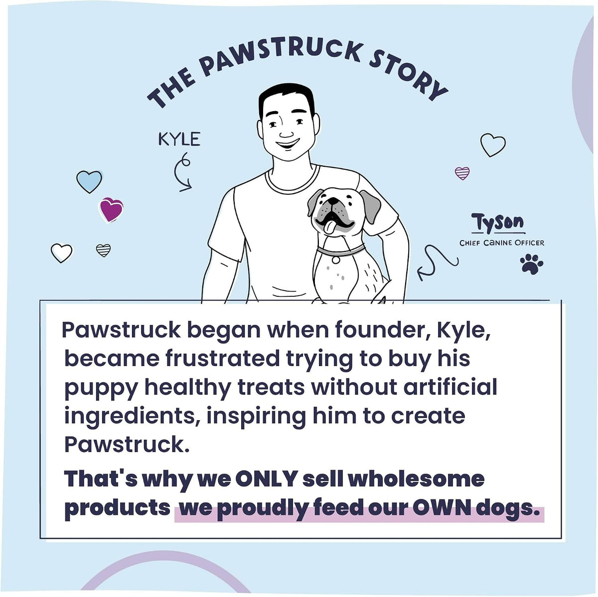 Pawstruck Professional Strength Pet Stain & Odor Remover - Natural Enzyme Cleaning Solution for Dogs & Cats - Safe and Effective Smell Eliminator - 32 oz - Packaging May Vary - Image 9