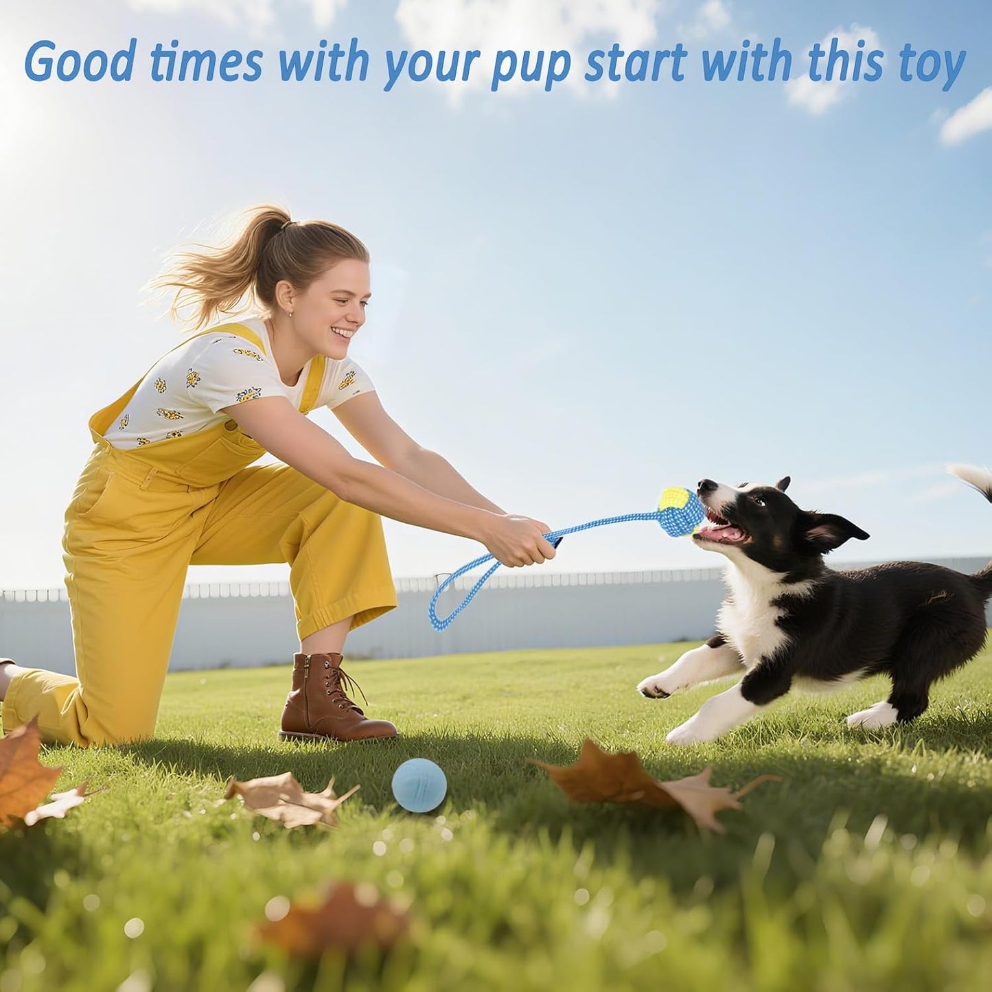 Collection of Beiker cotton rope toys for puppies