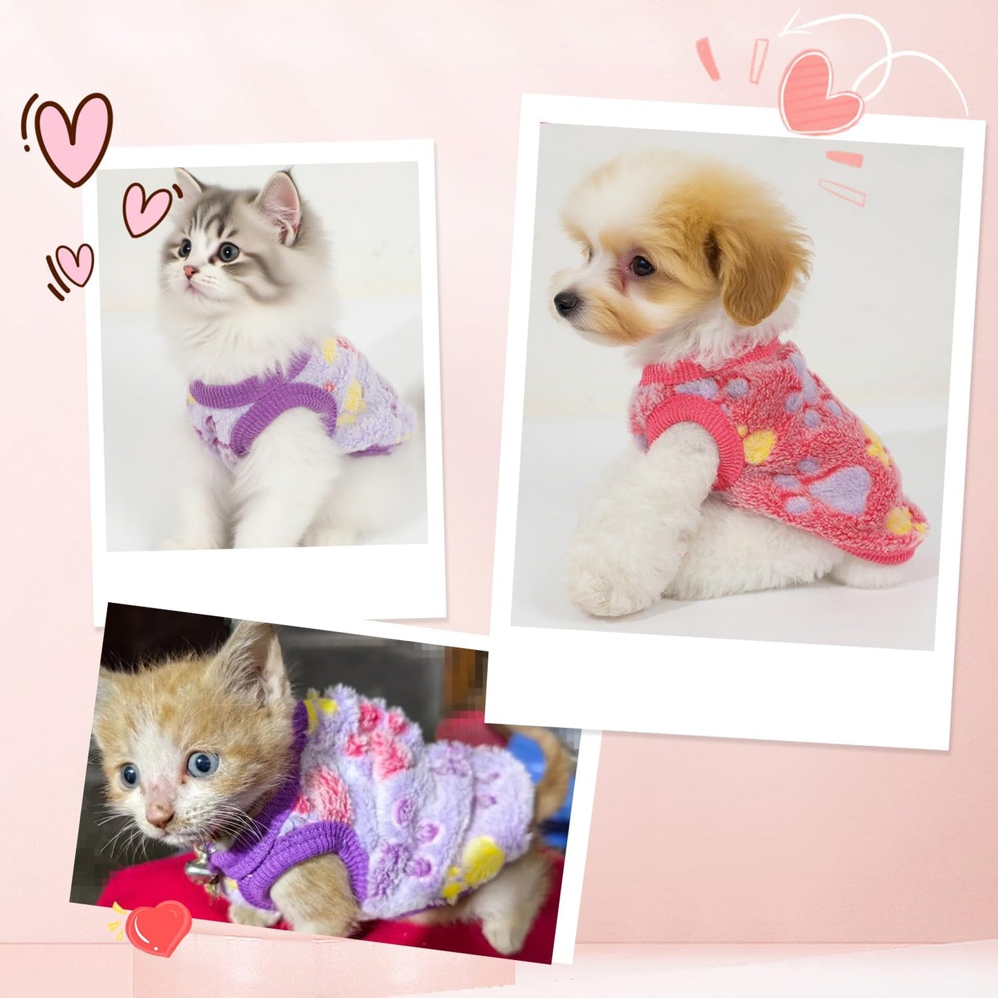 Purple triple extra small teacup dog clothes flat lay view