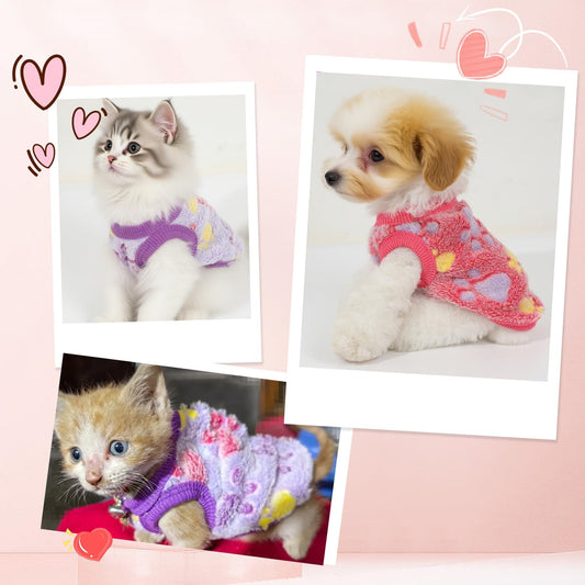 Purple triple extra small teacup dog clothes flat lay view