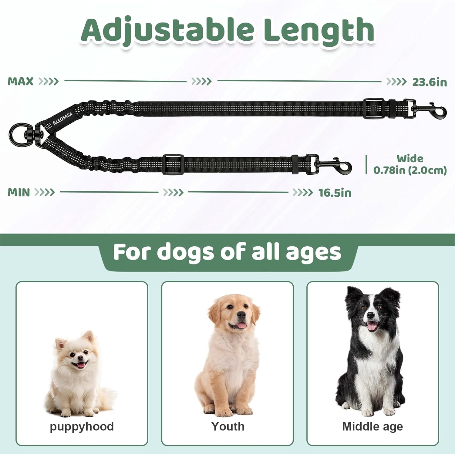 Close up view of the three hundred sixty degree zinc alloy metal rotating buckle on the dual dog lead.