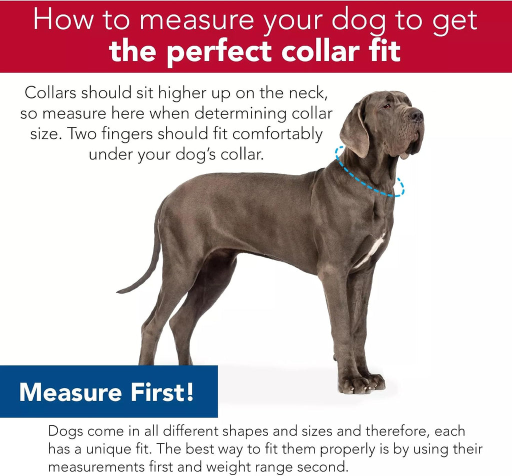 Adjustable buckle detail on Coastal Pet flea collar protector