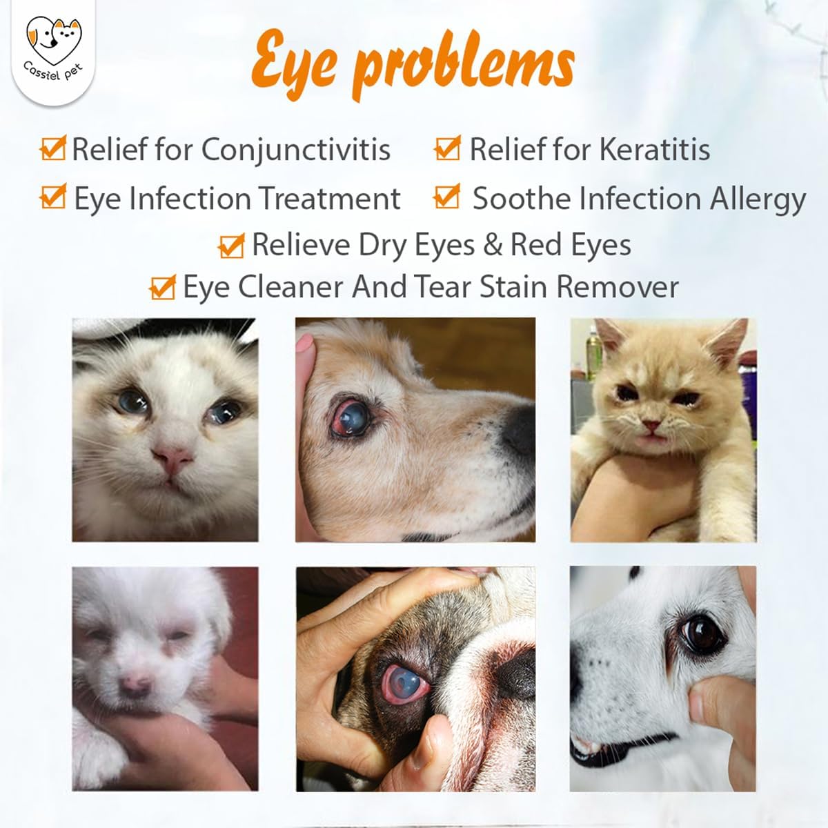 Pet eye infection treatment drops packaging detailing usage for dogs and cats.