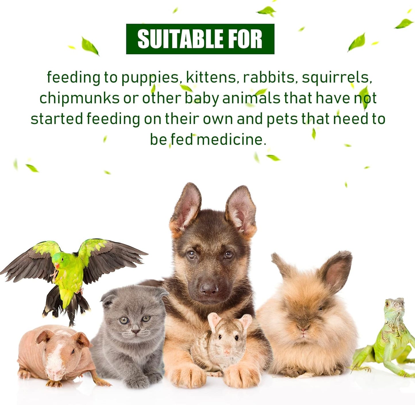 Reusable medical feeding syringe for small animals