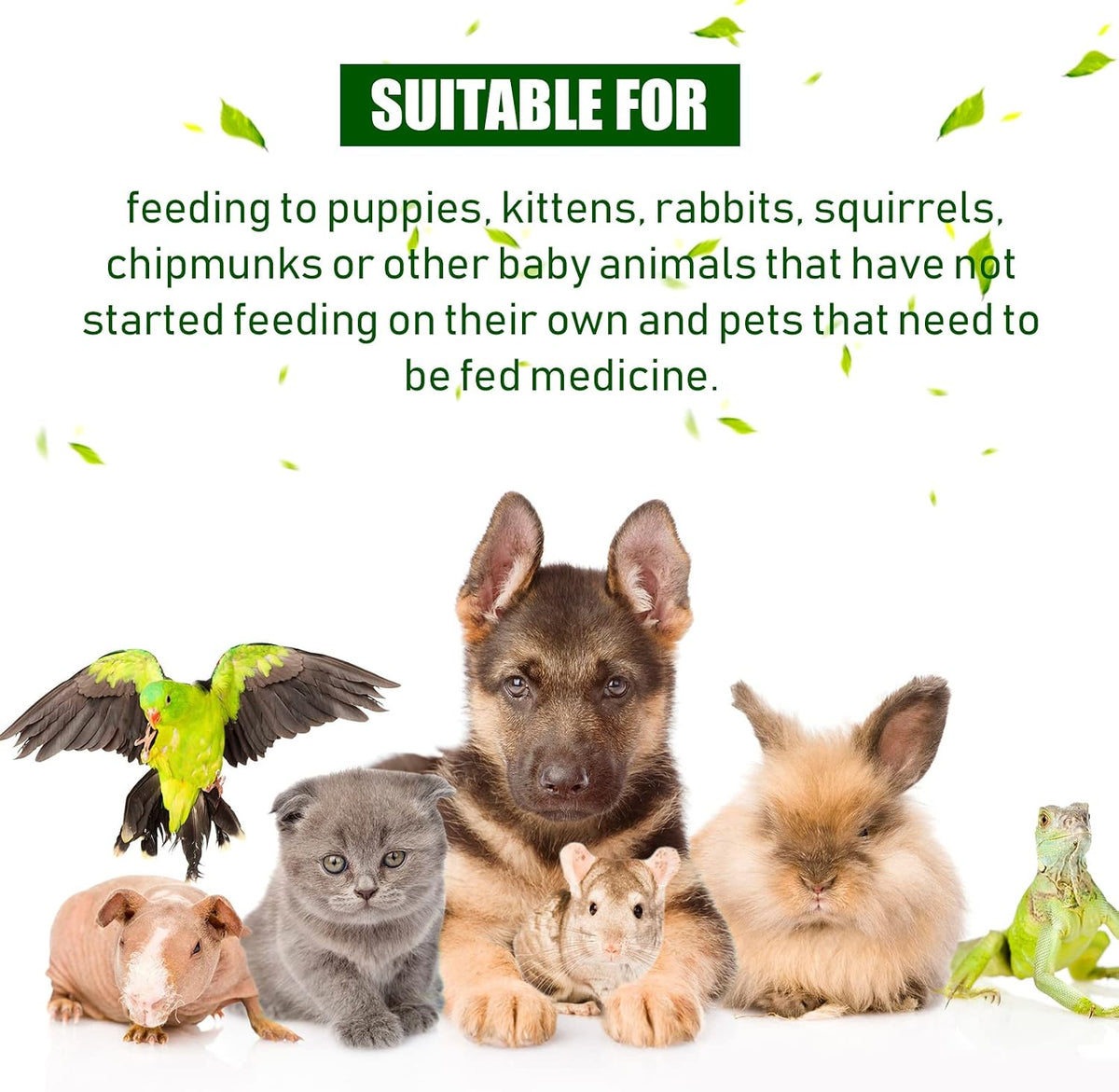 Reusable medical feeding syringe for small animals