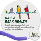 Sweet Feet and Beak Safety Pumice Bird Perch, Small Pedicure Perch, Green - Image 8