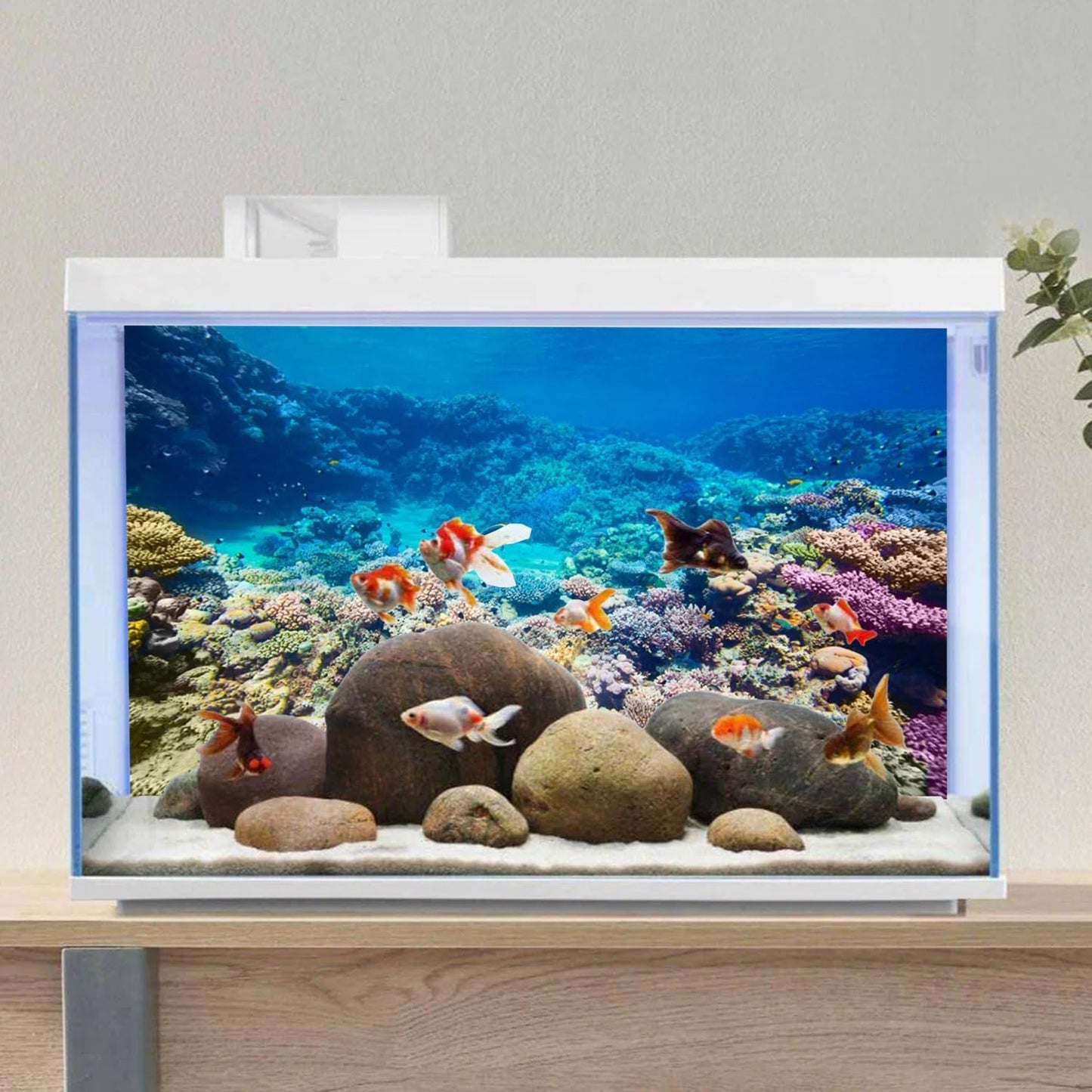 Close up view of the vibrant colors on the premium AWERT fish tank background cloth.