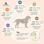 AVERYDAY pet formal wear close up detailing the breathable interior mesh lining fabric