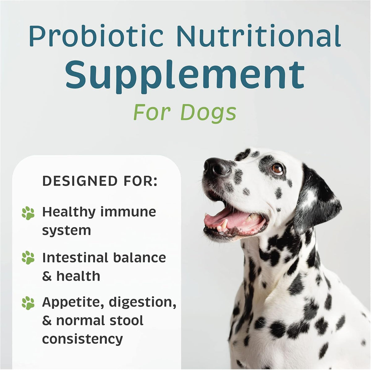 VetOne Advita canine daily digestive health powder individual sachet close up
