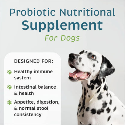 VetOne Advita canine daily digestive health powder individual sachet close up